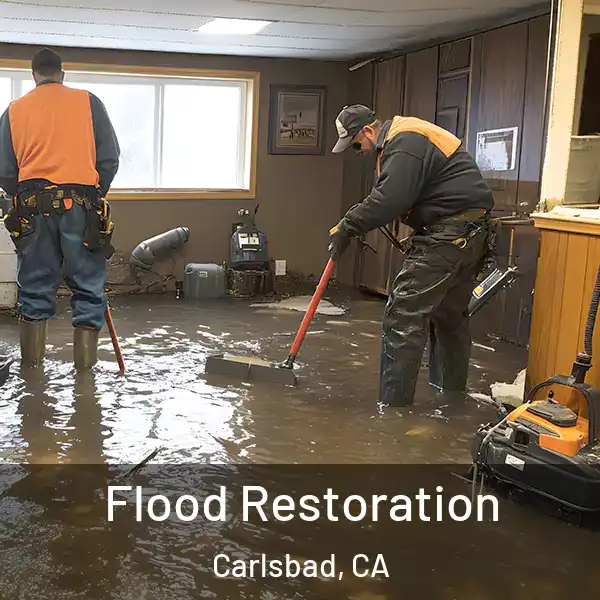  Flood Restoration Carlsbad, CA