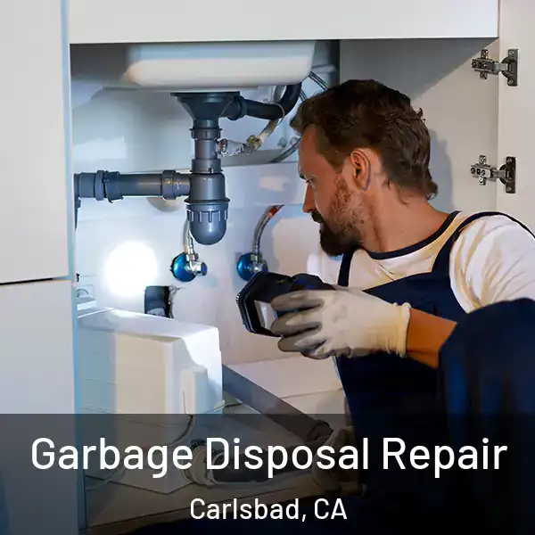  Garbage Disposal Repair Carlsbad, CA