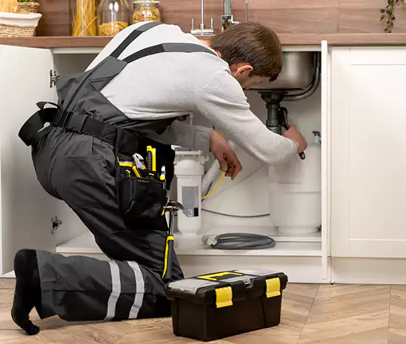 Certified Plumbers for Insinkerator Installation in Carlsbad