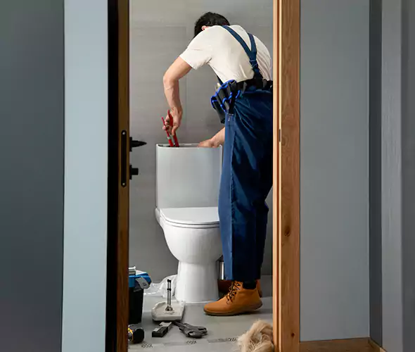 Professional Plumbers for Toilet Bowl Replacement in Carlsbad, CA: Schedule Affordable Toilet Replacement Services With Us
