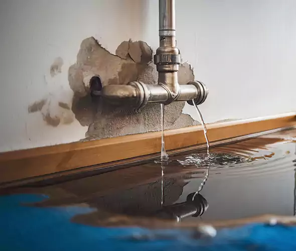 Professional Water Damage Restoration Experts in Carlsbad, CA — Fast, Reliable & Certified
