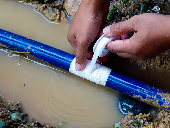 Why Choose Pro Carlsbad Plumber for Leak Detection in Carlsbad, CA?]