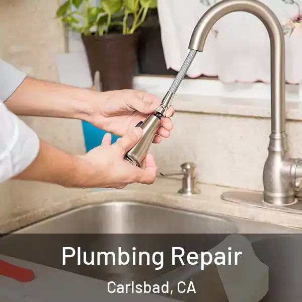  Plumbing Repair Carlsbad, CA