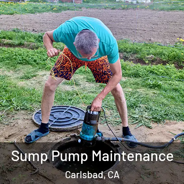  Sump Pump Maintenance Carlsbad, CA