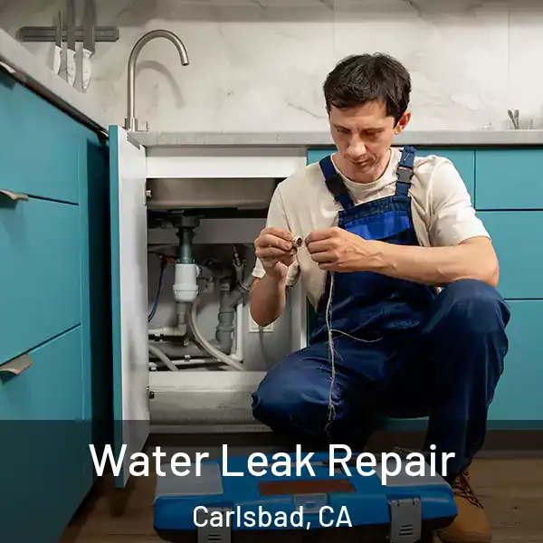  Water Leak Repair Carlsbad, CA
